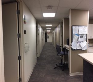 healthcare office hallway painting