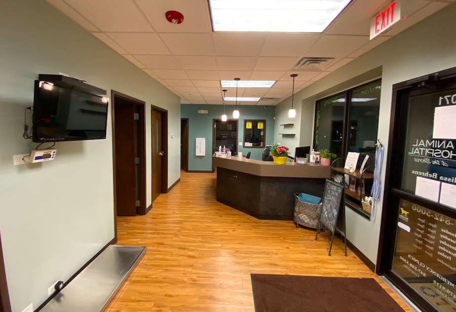 Interior Commercial Paint Services for Animal Hospital
